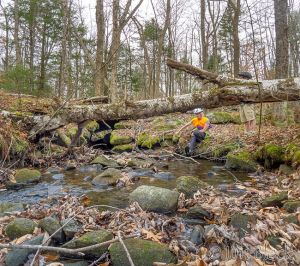 06   DN203--At-the-stone-culvert.jpg